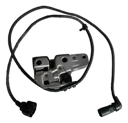 Chapa De Cofre Volkswagen Eurovan 1.9 Diesel 2006-2009