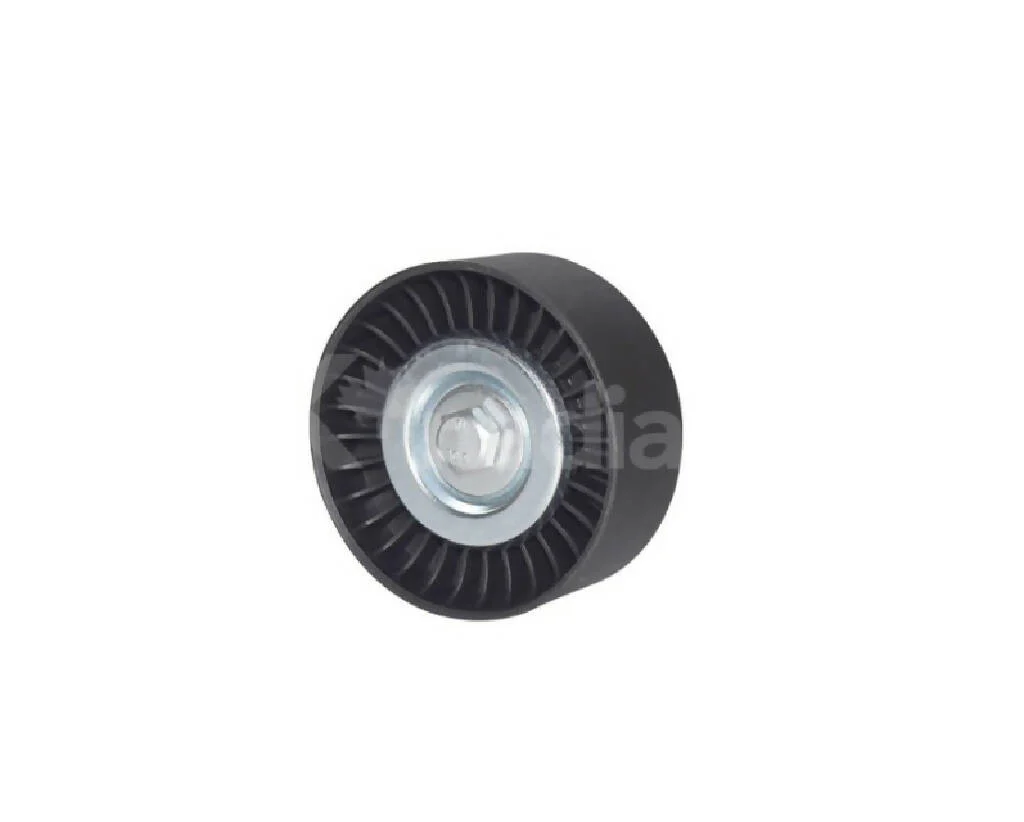 POLEA LOCA LISA CHRYSLER RAM NITRO 5.7L 108231